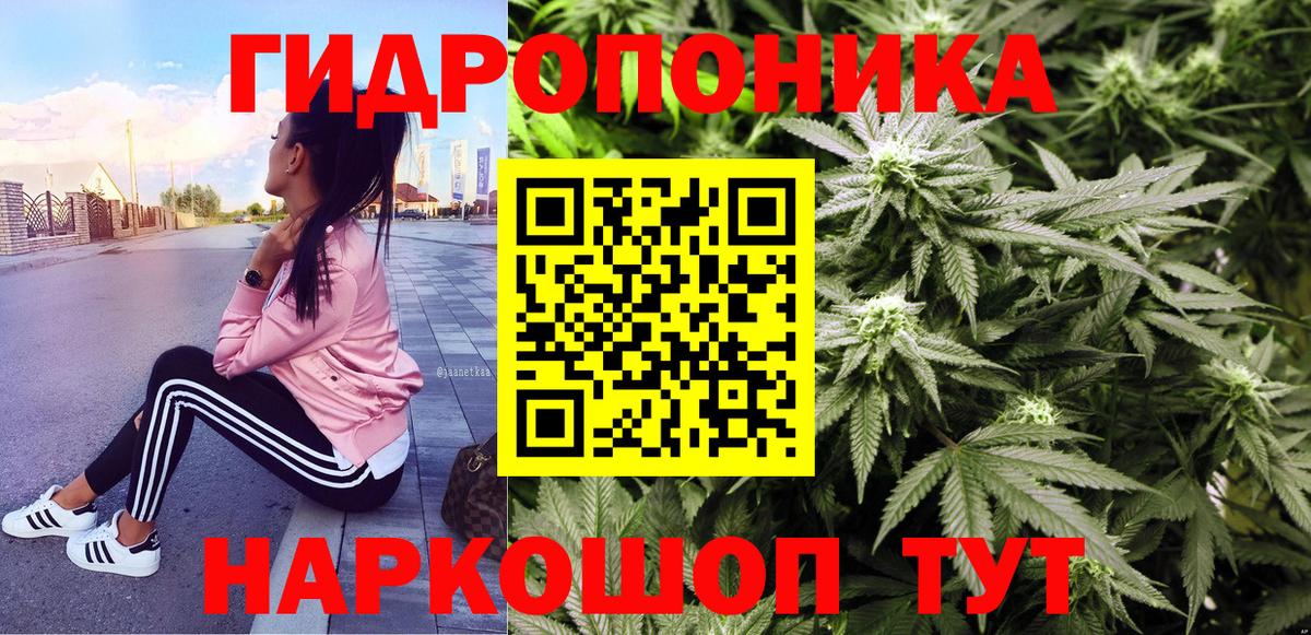 Канабис планчик Ижевск